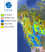 Forest Certification